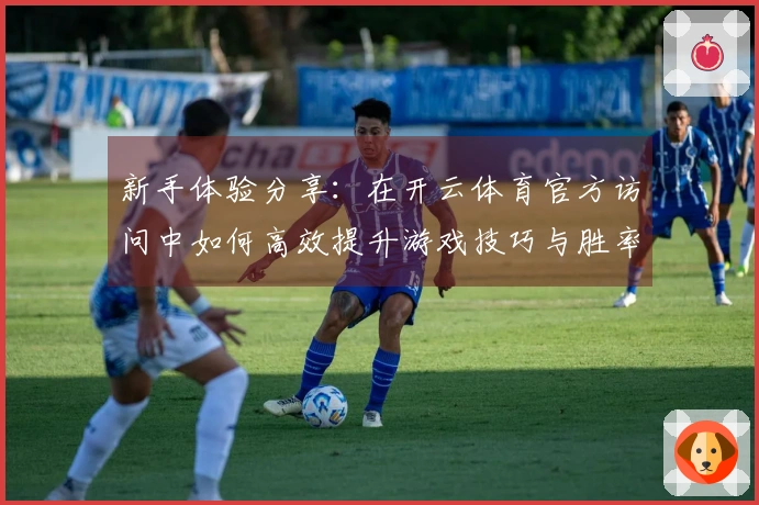 新手体验分享：在开云体育官方访问中如何高效提升游戏技巧与胜率