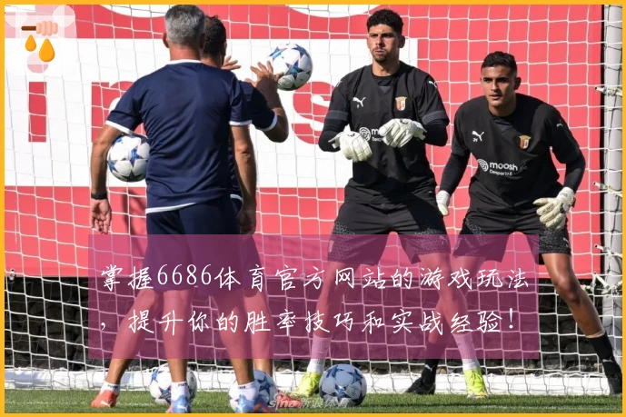 掌握6686体育官方网站的游戏玩法，提升你的胜率技巧和实战经验！