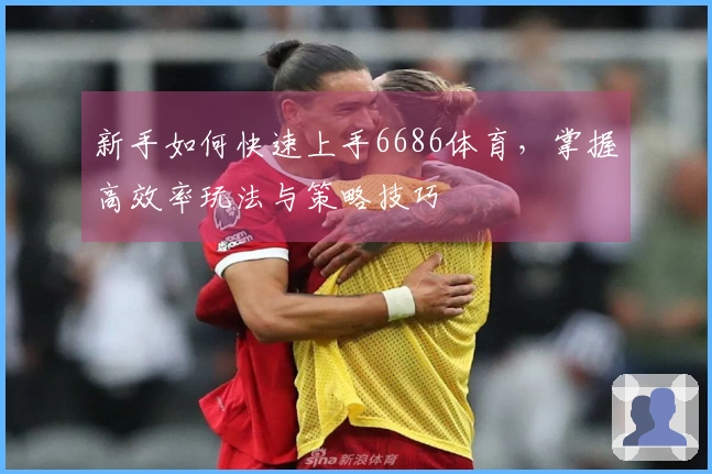 新手如何快速上手6686体育，掌握高效率玩法与策略技巧